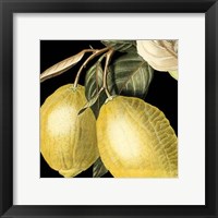 Dramatic Lemon Framed Print