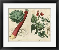 Kitchen Vegetables & Roots II Framed Print