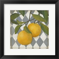 Fruit and Pattern IV Framed Print