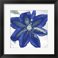 Framed Indigo Star I