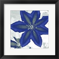 Framed Indigo Star II