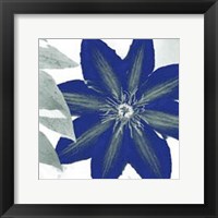 Framed Indigo Star III