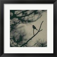 Caligraphy Bird I Framed Print