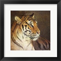 Framed Tiger