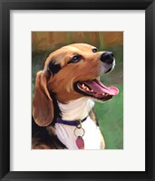 Framed Beagle-Beagle