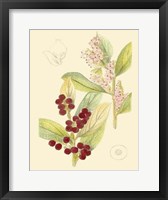 Framed Berries & Blossoms VI