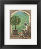 Framed Monkey and Orange Tree