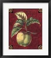 Framed Pomme De Hubbardston