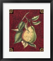 Poire D'Arenburg Framed Print