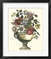 Framed Floral Splendor II