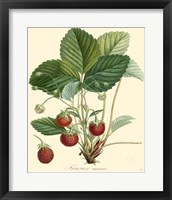 Framed Strawberries