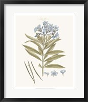 Framed Bashful Blue Florals III