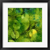 Framed Nautilus in Green I