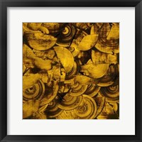 Framed Nautilus in Gold II