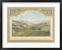 Framed Vineyard Window II