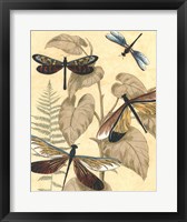 Graphic Dragonflies in Nature II Framed Print