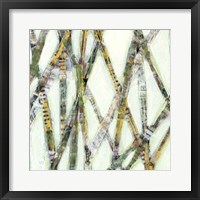 Framed Lemongrass I