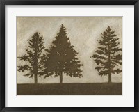 Framed Silver Pine II