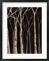 Framed Midnight Birches II