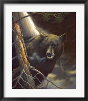 Framed Bear Portrait