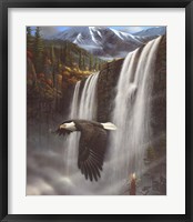 Framed Eagle Portrait