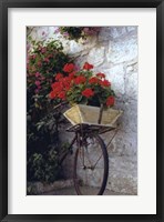 Framed Flower Box Bike