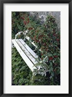 Framed White Bench