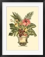 Tropical Elegance II Framed Print