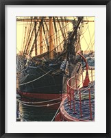 Tall Ships in Darling Harbour Framed Print