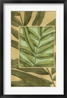 Palm Inset Composition I Framed Print