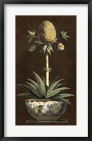 Potted Pineapple I Framed Print