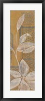 Delicate Panel II Framed Print