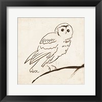 Framed Owl II