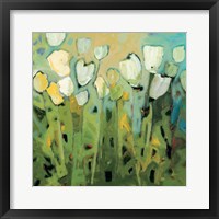 Framed White Tulips I