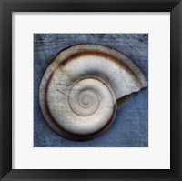 Snail Framed Print