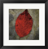 Framed Red Dogwood