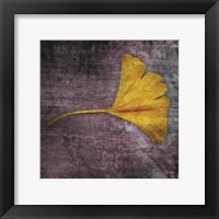 Framed Gingko 4