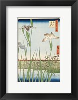 Framed Irises at Horikiri, 1857