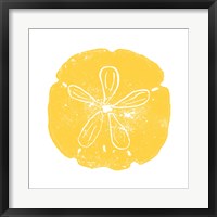 Yellow Sand Dollar Framed Print