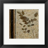 Framed Earthen Textures V