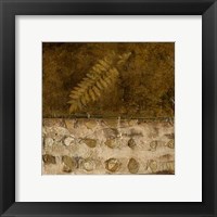 Framed Earthen Textures IX