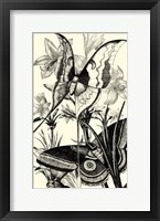 Framed B&W Butterfly I