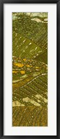 Framed Vineyard Batik I