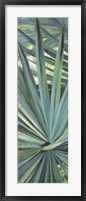 Framed Fan Palm I