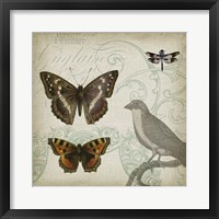 Cartouche & Wings III Framed Print