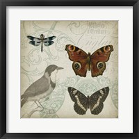 Cartouche & Wings IV Framed Print
