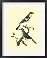 Vintage Bird Pair I Framed Print