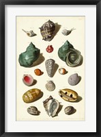 Framed Shells, Tab. V