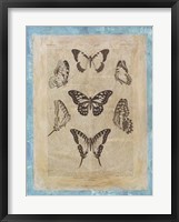 Bookplate Butterflies III Framed Print