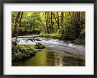 Framed Sunlight on Jake's Creek I